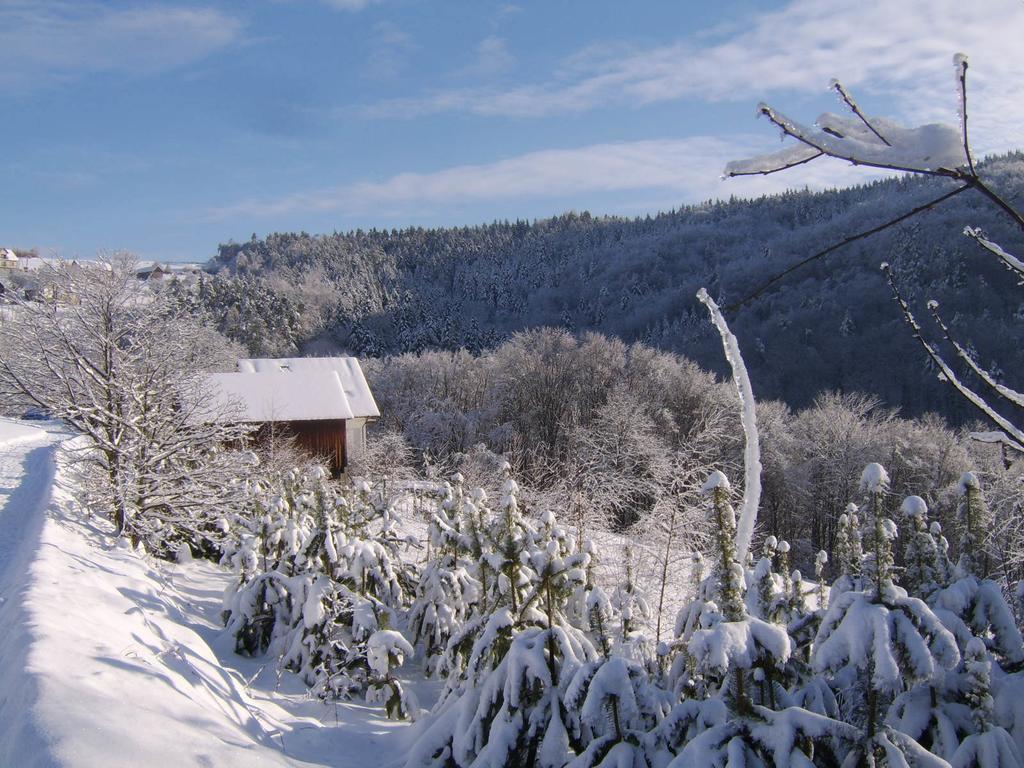 Agroturystyka Millerowka Kamionka Mala  Exterior photo