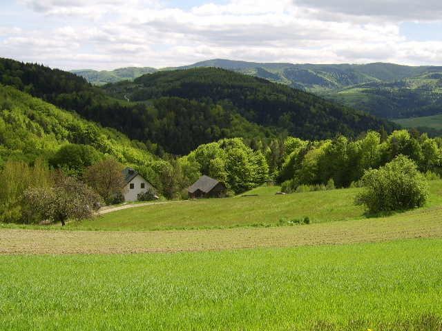 Agroturystyka Millerowka Kamionka Mala  Exterior photo