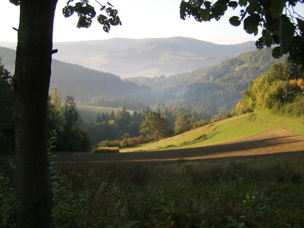 Agroturystyka Millerowka Kamionka Mala  Exterior photo