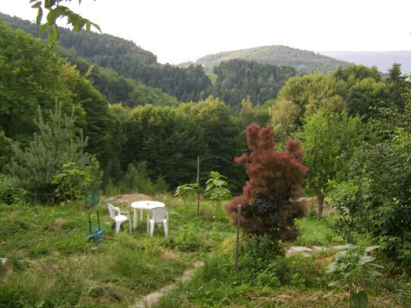 Agroturystyka Millerowka Kamionka Mala  Exterior photo